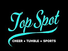 Top Spot IL logo